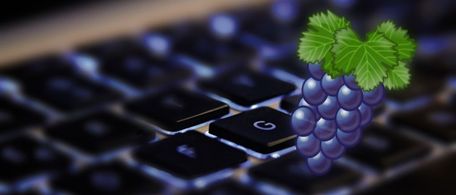 Thematic background picture
          about Linux