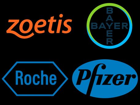 Logos of the mentioned companies