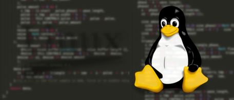 Thematic background picture
          about Linux